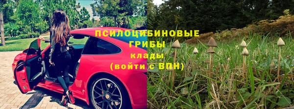 ПСИЛОЦИБИНОВЫЕ ГРИБЫ Балабаново