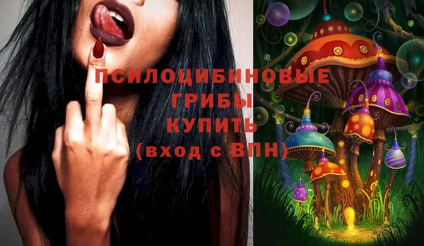 ПСИЛОЦИБИНОВЫЕ ГРИБЫ Балабаново