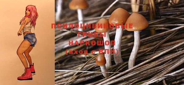 ПСИЛОЦИБИНОВЫЕ ГРИБЫ Балабаново